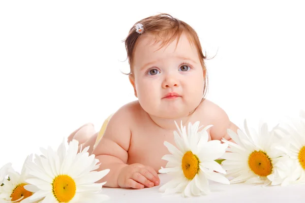 Bebé flor —  Fotos de Stock