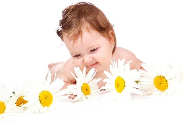 Flor bebê — Fotografia de Stock