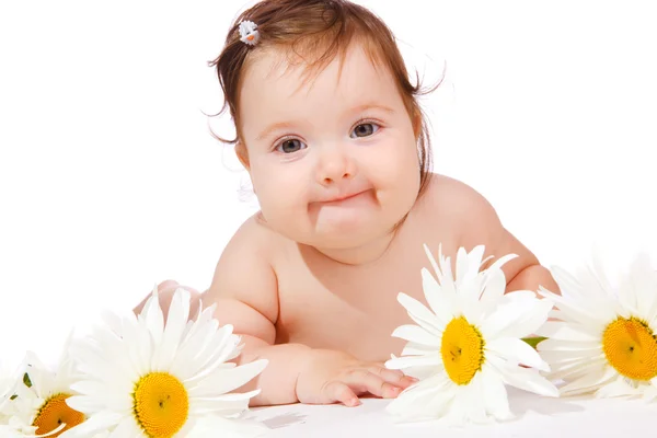 Camomile baby — Stock Photo, Image