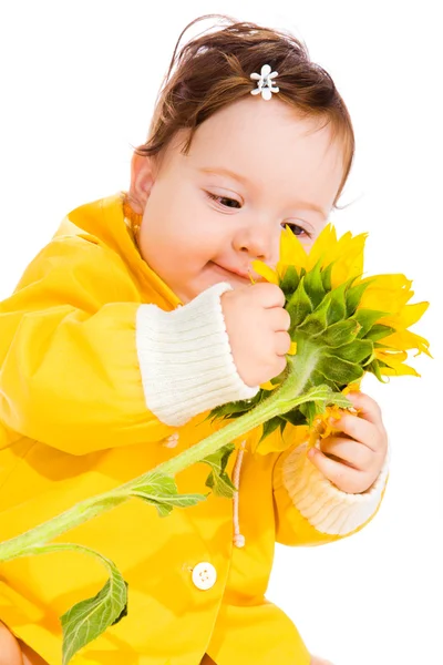 Slunečnice dítě — Stock fotografie