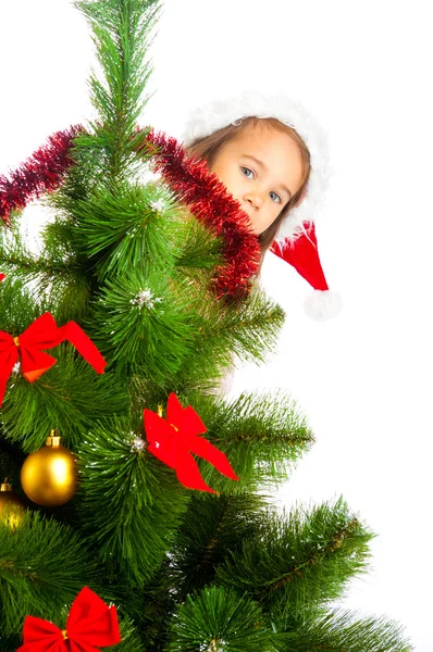 Atrás da árvore de Natal — Fotografia de Stock