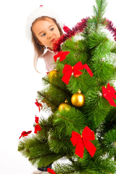 Hinter dem Weihnachtsbaum — Stockfoto