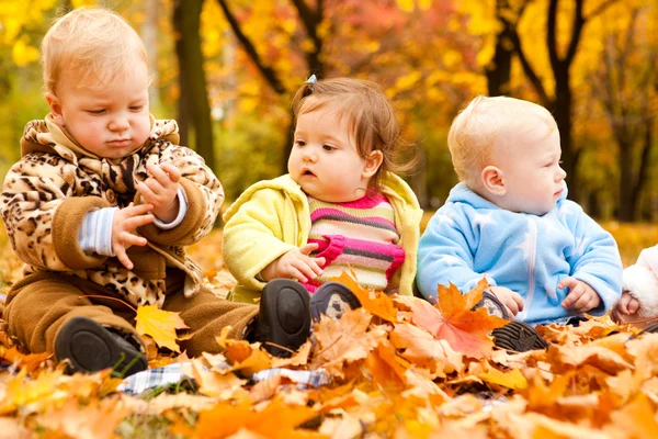 Bebés en el parque de otoño — Foto de Stock