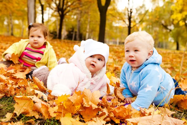 Bebés de otoño — Foto de Stock