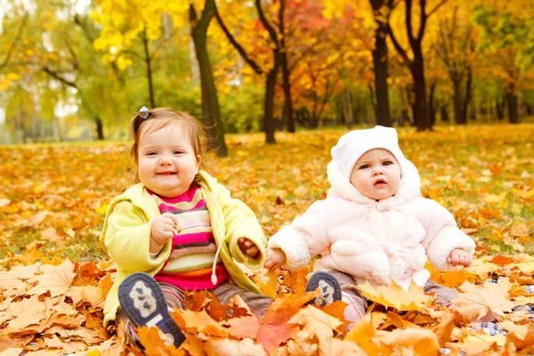 Bebês no parque de outono — Fotografia de Stock