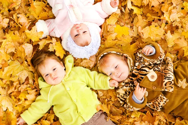 Дети на листьях — стоковое фото