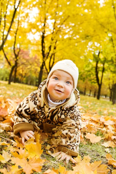 Ребенок над желтыми листьями — стоковое фото