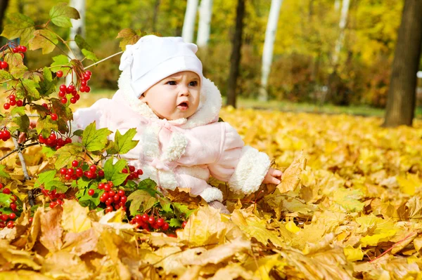 Kislány a sárga levelek — 스톡 사진