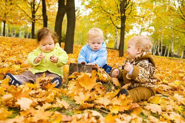Babies playing with chestnuts — Stock Photo, Image