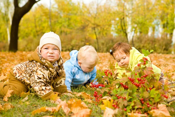 Діти на листя — стокове фото