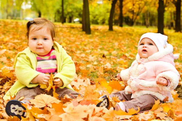 Baby girls on yellow leaves — ストック写真