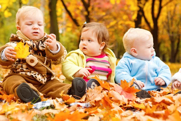 Autumn leaves and babies — Stock Photo, Image