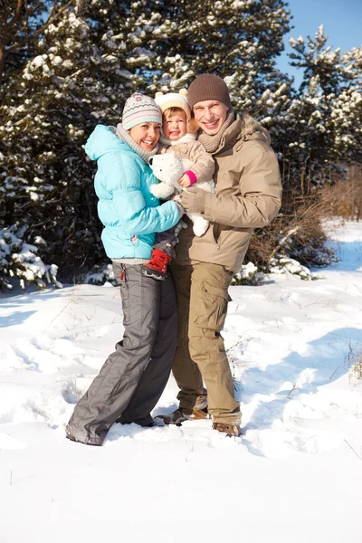 Семья в снежном парке — стоковое фото