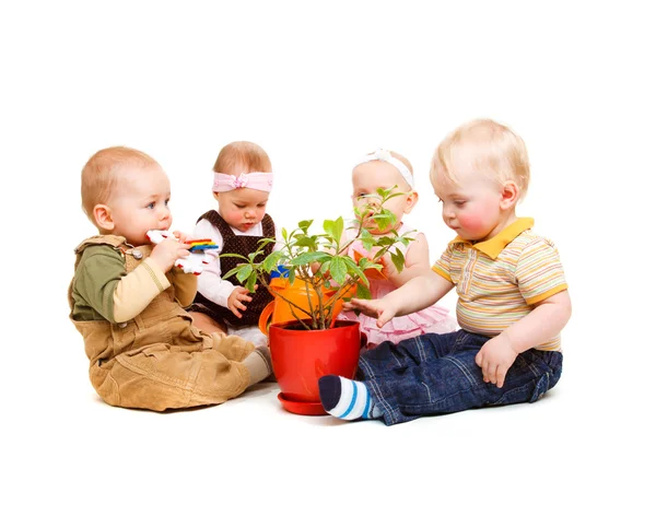 Babies and flower — Stock Photo, Image