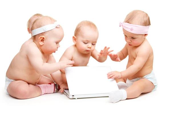 Babies working at laptop — Stock Photo, Image