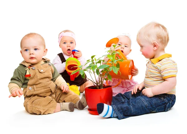 Babies group — Stock Photo, Image