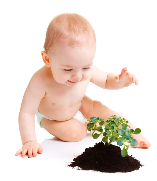 Baby with plant — Stock Photo, Image