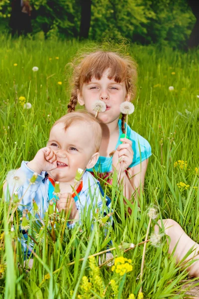 Двое детей в траве — стоковое фото