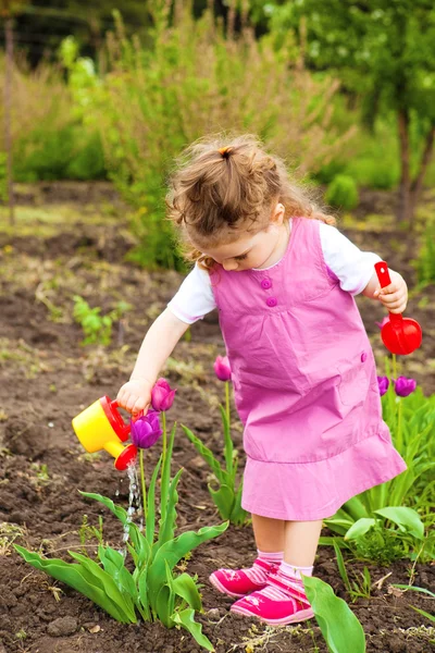 Mädchen gießt Blumen — Stockfoto