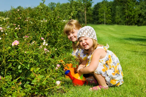 Kinder im Garten — Stockfoto