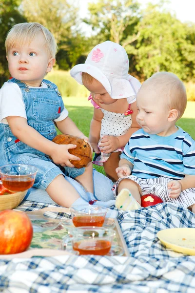 孩子们的野餐 — 图库照片