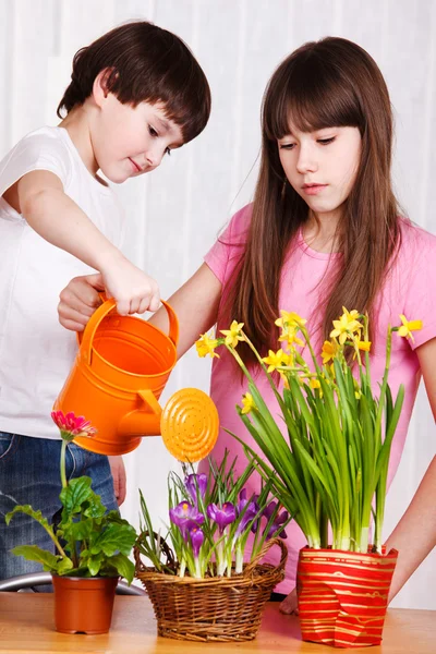 Bambini che annaffiano fiori — Foto Stock