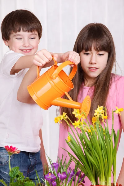 Kids watering flowers — Stock Photo, Image