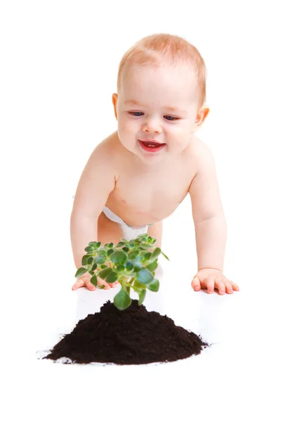 Baby with plant Stock Photo