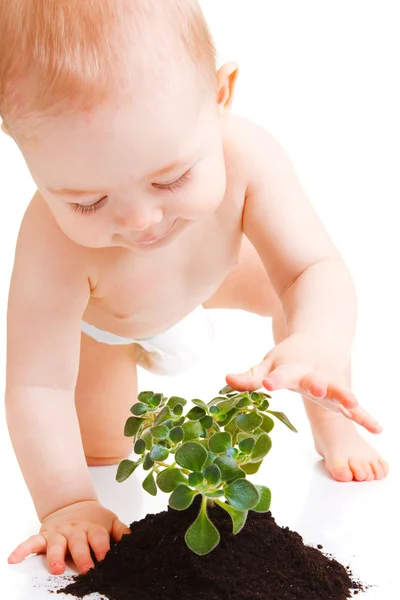 Baby touching plant Stock Photo