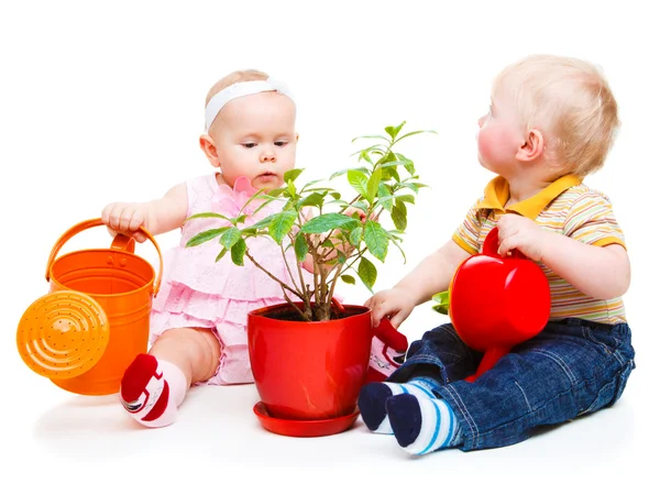 Kids with watering pots Stock Photo