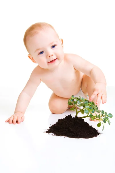 Baby with plant Stock Image