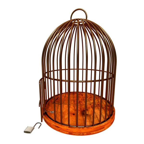 Open cage — Stock Photo, Image