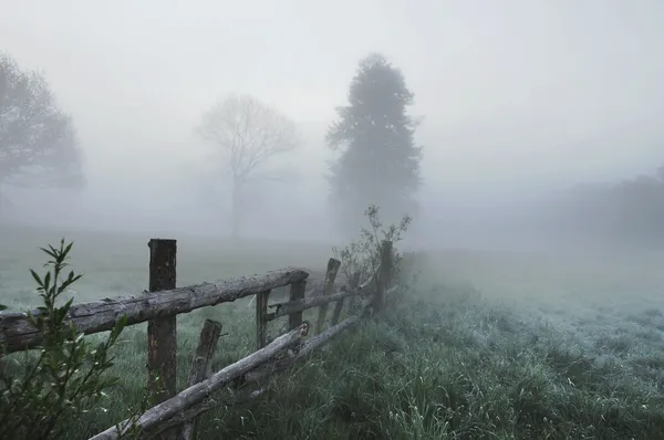 Stunning foggy landscape — Stock Photo, Image