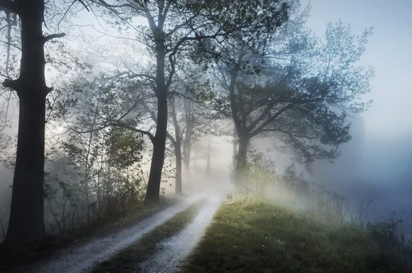 Потрясающий туманный пейзаж — стоковое фото