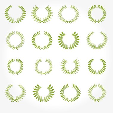  version. Set of laurel wreaths crown.