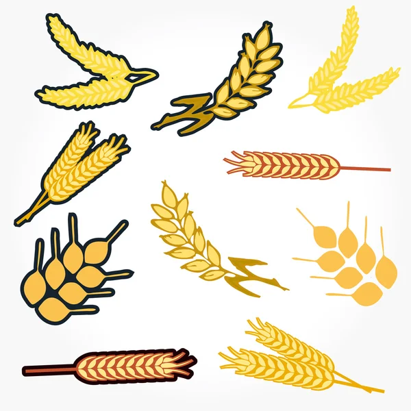 Set of Design Elements with Wheat — Stock Photo, Image