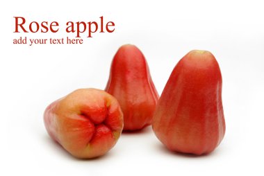 Rose apple clipart