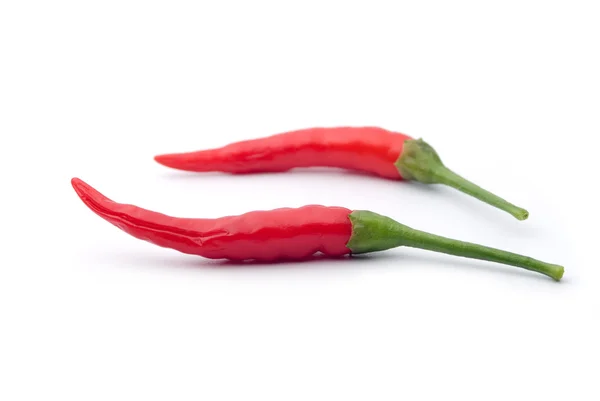 Red hot chili peper — Stock fotografie