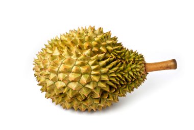 Durian on white background, Isolated clipart