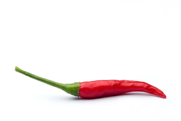 stock image Red hot chili pepper