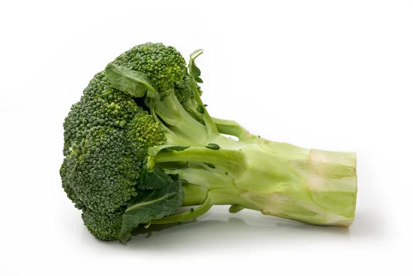 Brócolos verdes isolados — Fotografia de Stock