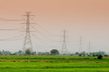 elektrik direği günbatımı zamanı, kırsal