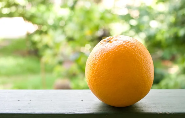 緑の木製手すり子にオレンジ — ストック写真