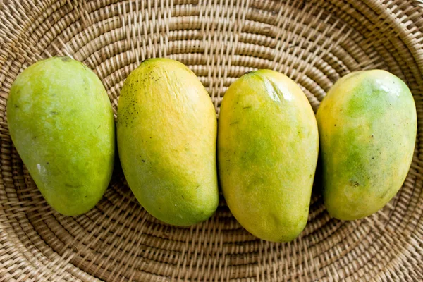 Mango wikliny — Zdjęcie stockowe