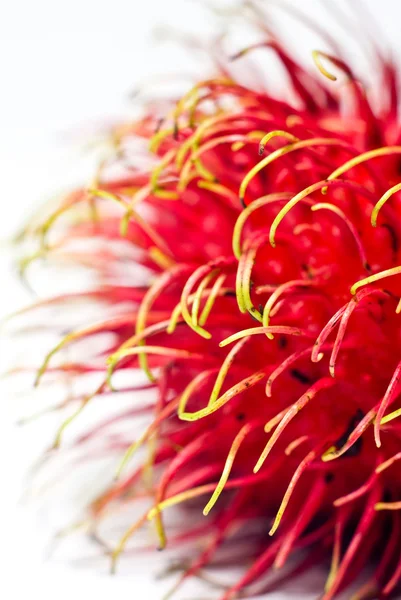 Teil der Rambutanfrucht, abstinenter Hintergrund — Stockfoto