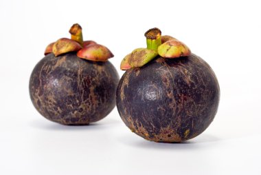 mangosteen, izole