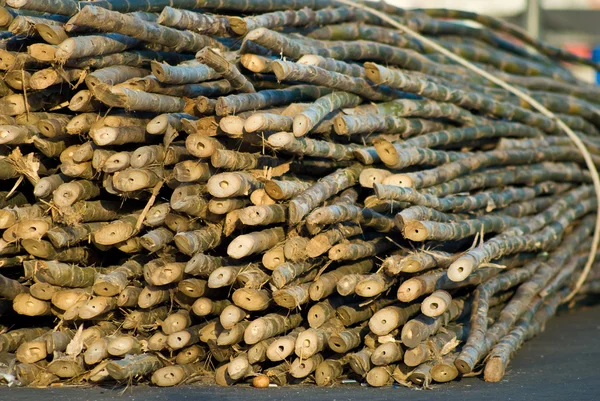 Madera de bambú para obra — Foto de Stock