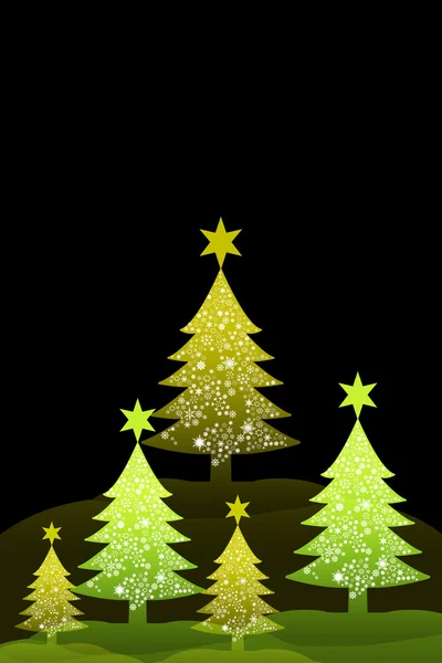 Christmas tree with night sky background — Stock Photo, Image