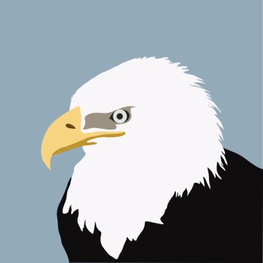 Eagle head clipart