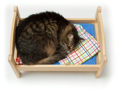 Toy cradle and a cat clipart